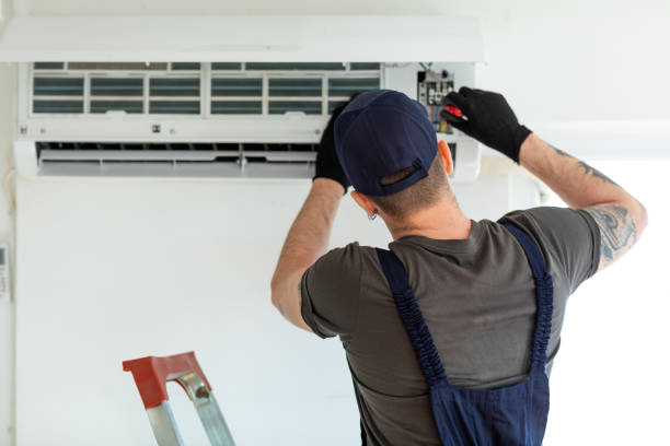 Air Duct Mold Removal in CO