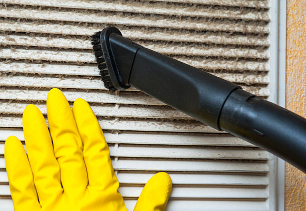 Best Home Air Vent Cleaning  in Fort Lupton, CO